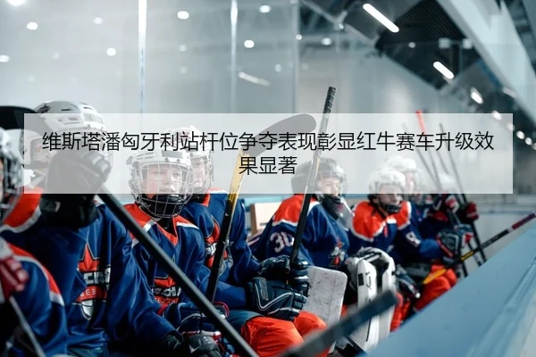 维斯塔潘匈牙利站杆位争夺表现彰显红牛赛车升级效果显著